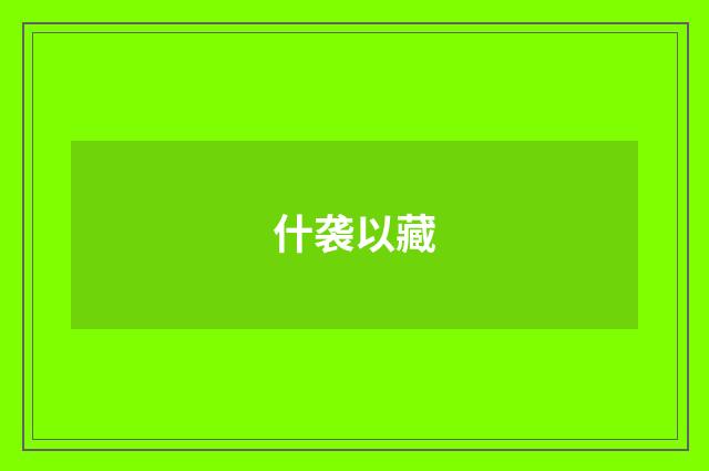 什袭以藏