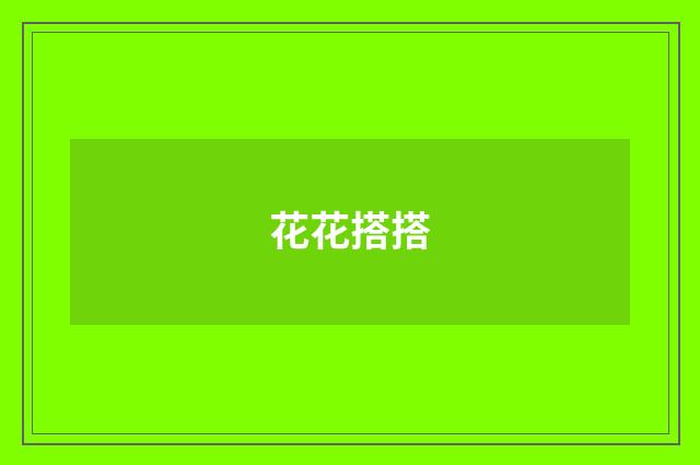 花花搭搭