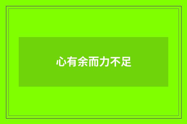 心有余而力不足