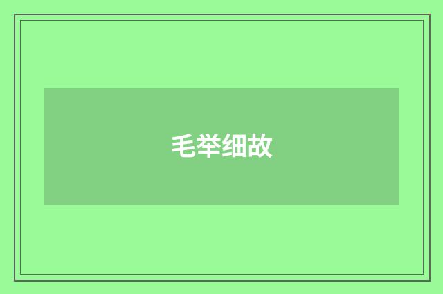 毛举细故