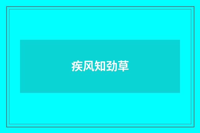 疾风知劲草