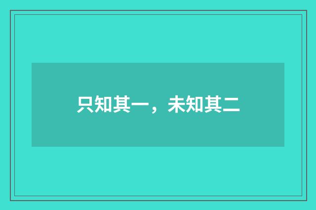 只知其一,未知其二
