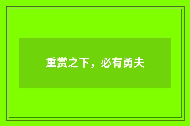 重赏之下,必有勇夫