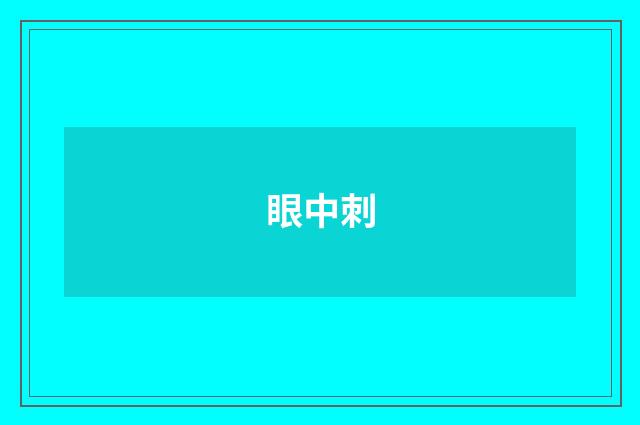 眼中刺