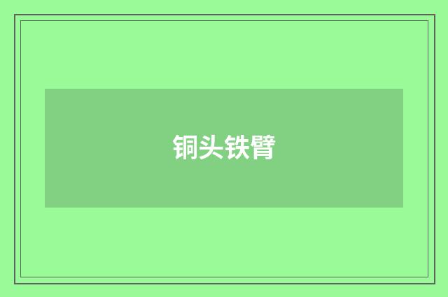 铜头铁臂
