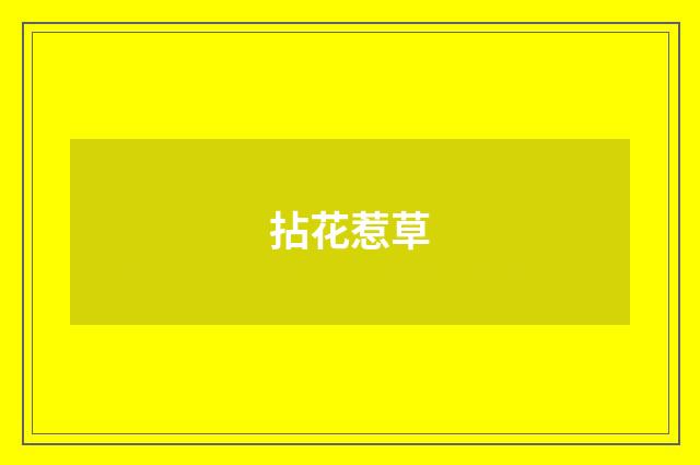 拈花惹草