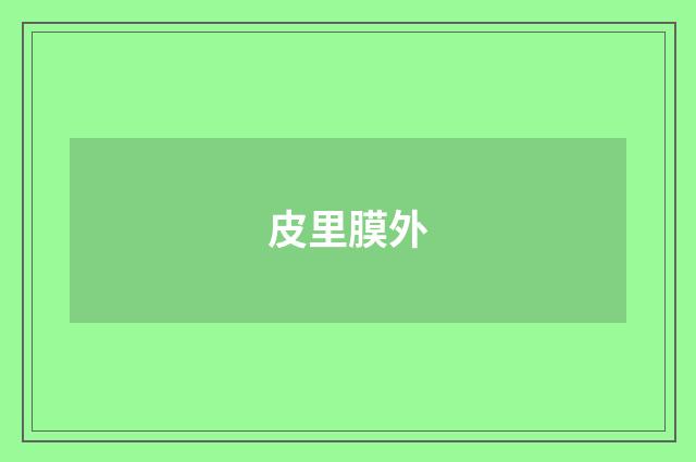 皮里膜外