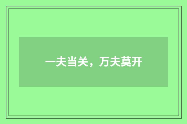 一夫当关,万夫莫开