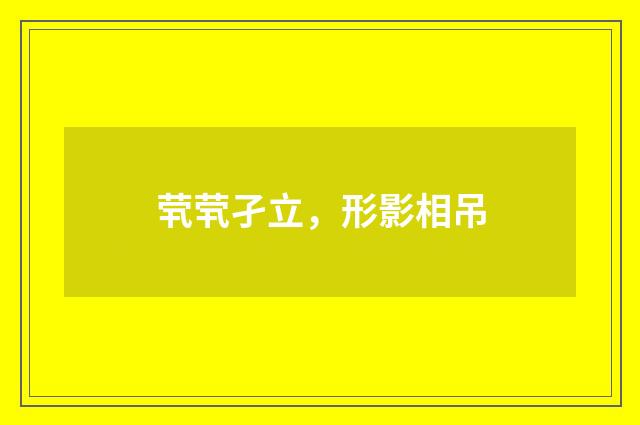 茕茕孑立,形影相吊