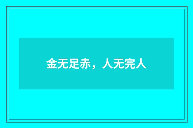 金无足赤，人无完人