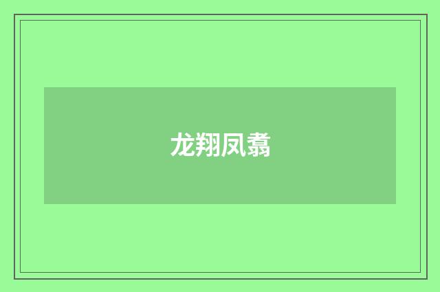 龙翔凤翥
