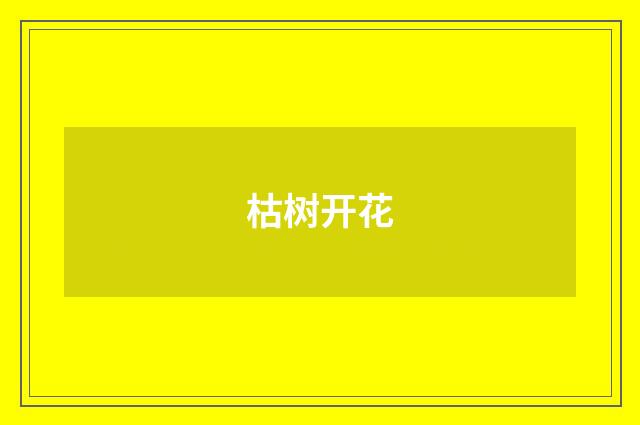枯树开花