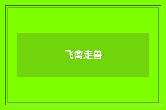 飞禽走兽