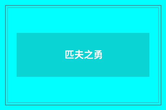 匹夫之勇