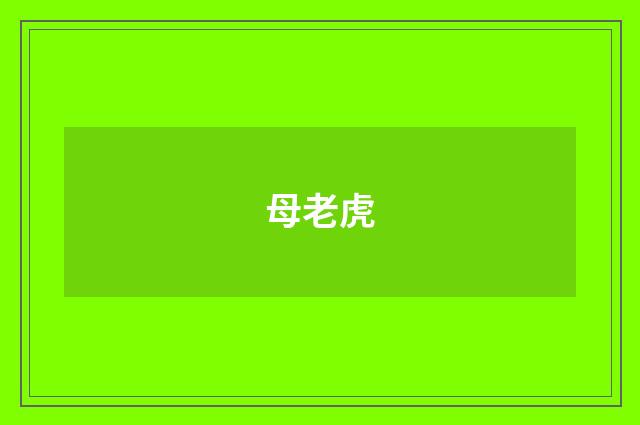 母老虎