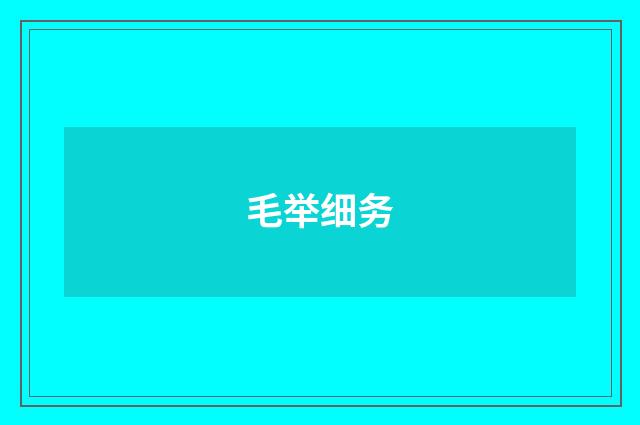 毛举细务