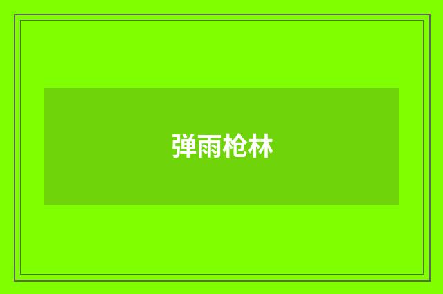 弹雨枪林