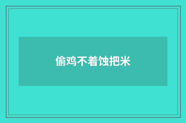 偷鸡不着蚀把米