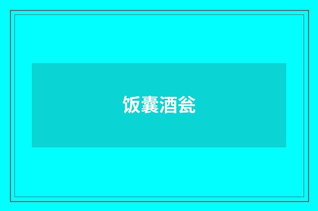 饭囊酒瓮