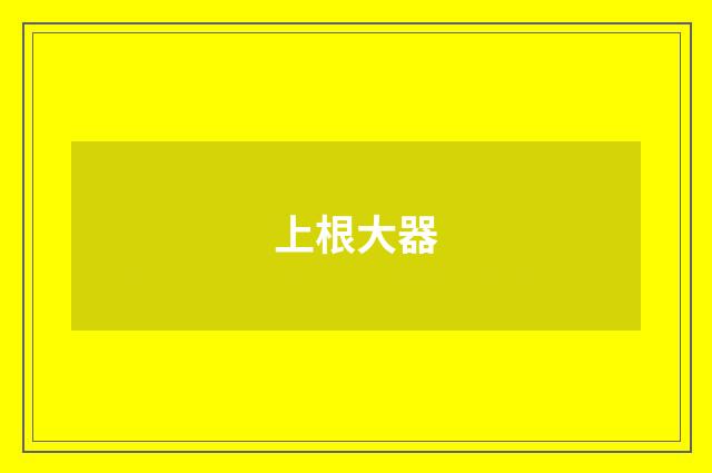 上根大器