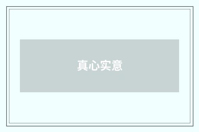 真心实意
