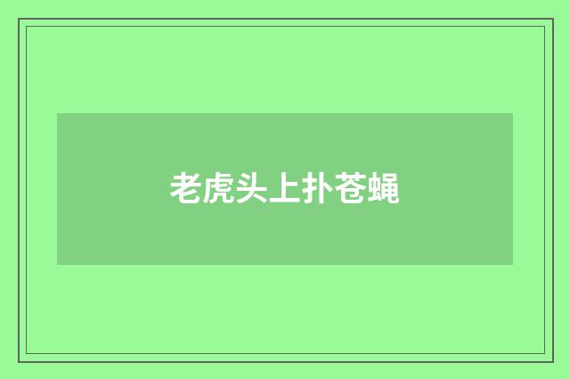 老虎头上扑苍蝇