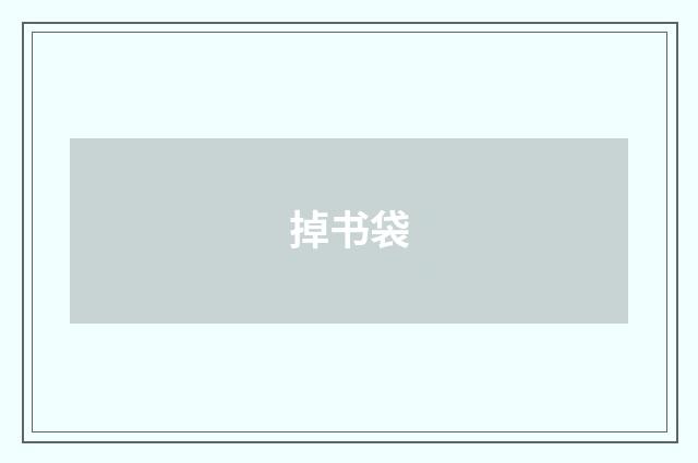 掉书袋