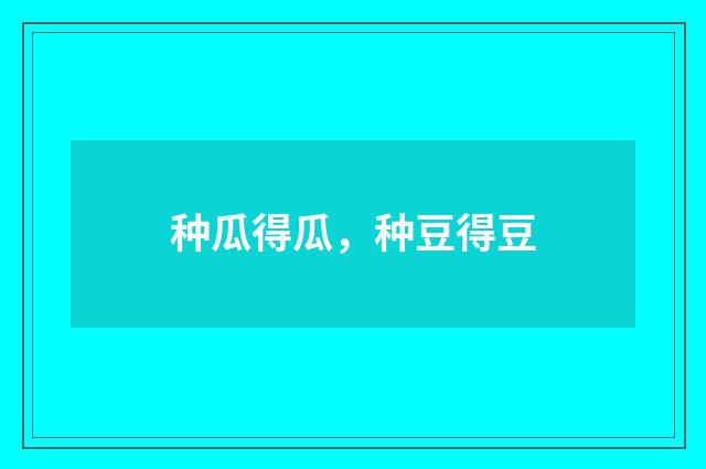 种瓜得瓜,种豆得豆