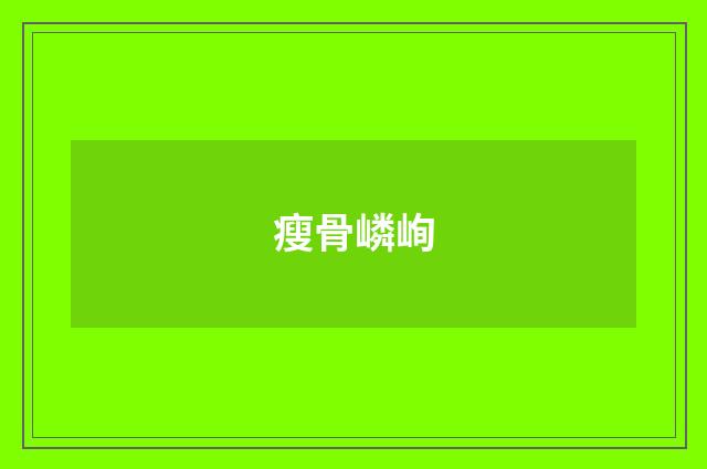 瘦骨嶙峋