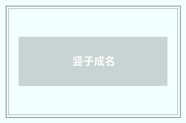 竖子成名