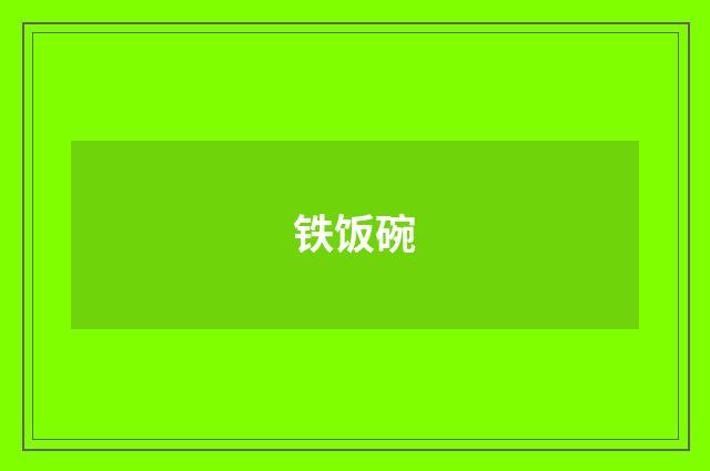 铁饭碗