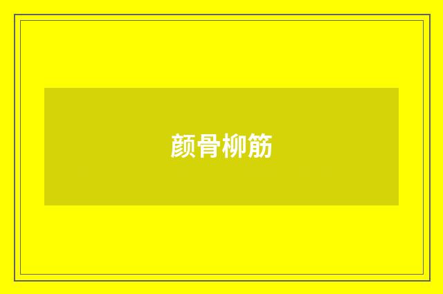 颜骨柳筋
