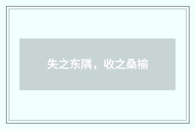 失之东隅,收之桑榆