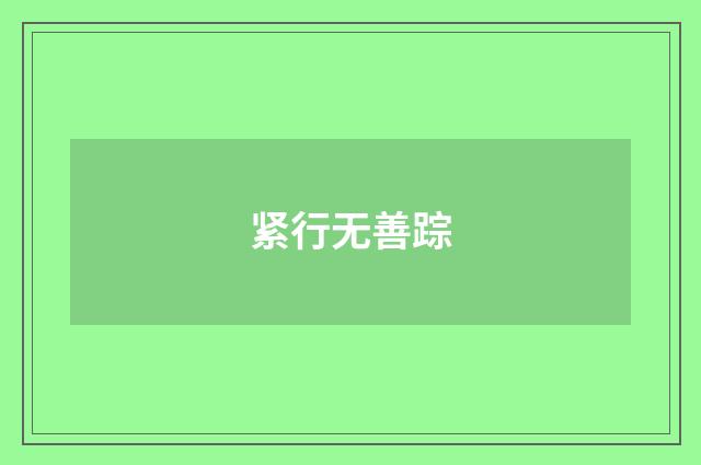 紧行无善踪
