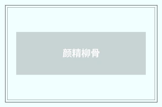 颜精柳骨