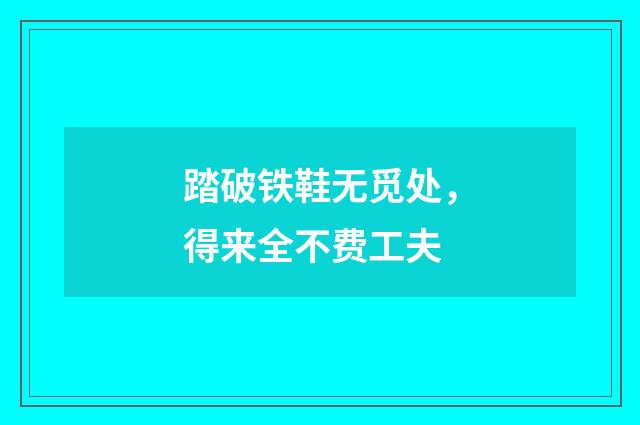 踏破铁鞋无觅处，得来全不费工夫