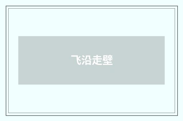 飞沿走壁