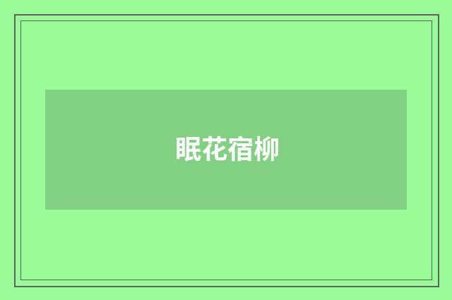 眠花宿柳