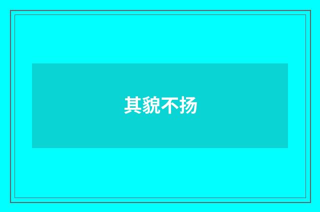 其貌不扬