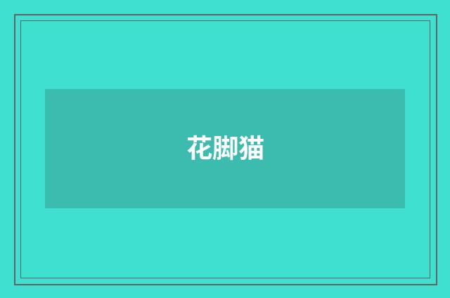 花脚猫