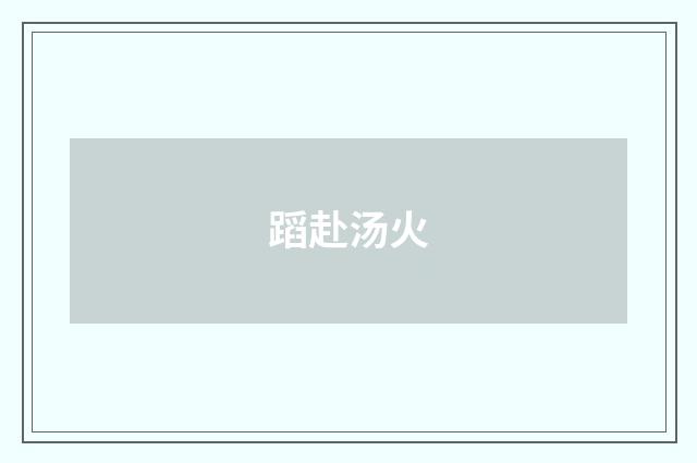 蹈赴汤火