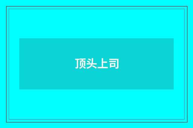 顶头上司