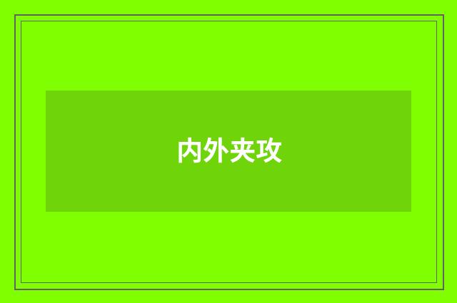 内外夹攻
