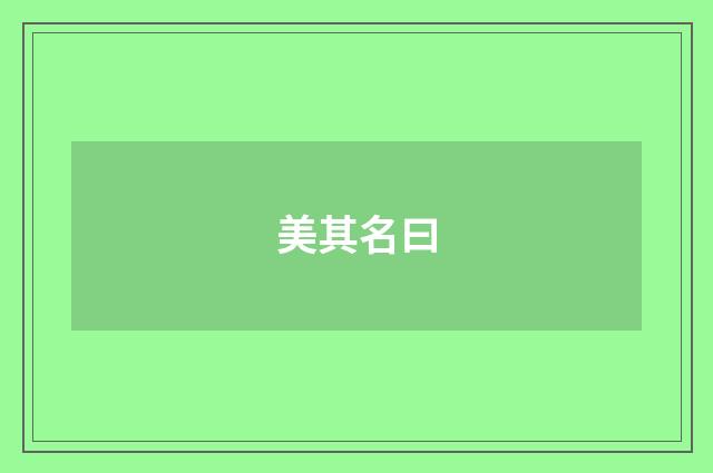 美其名曰