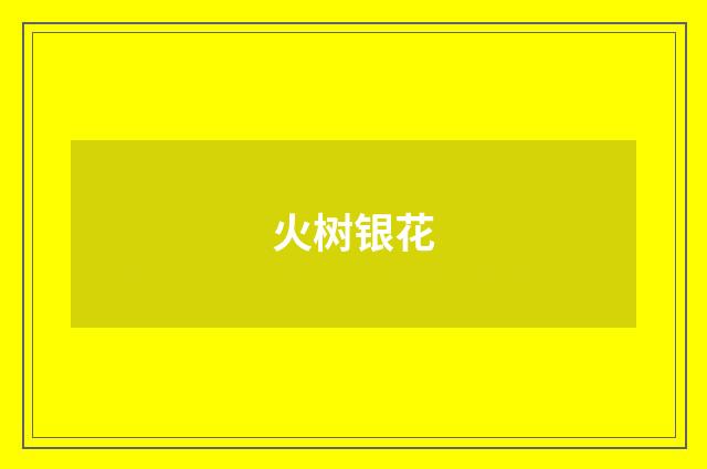 火树银花
