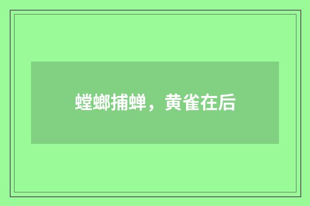 螳螂捕蝉,黄雀在后