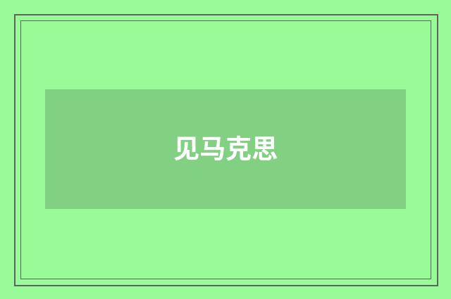 见马克思