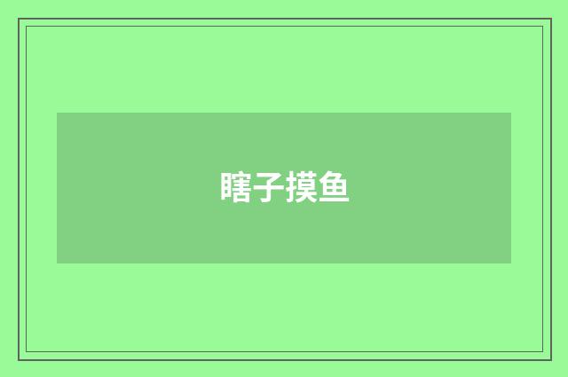 瞎子摸鱼