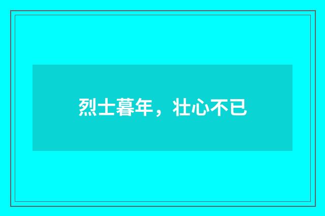 烈士暮年，壮心不已