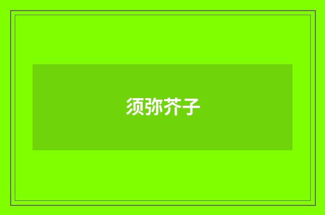 须弥芥子